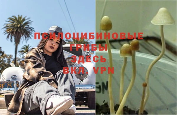 кокс Медвежьегорск