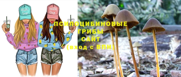 кокс Медвежьегорск